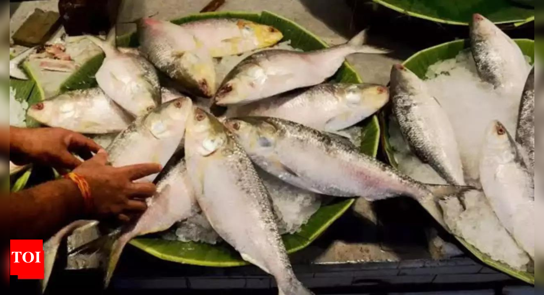 Bangladesh reverses ban on export of Hilsa fish to India ahead of Durga Puja | India News