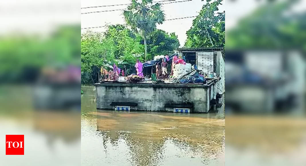 DVC: 2 State Officials Resign From Dvc Over Water Release Row | Kolkata News