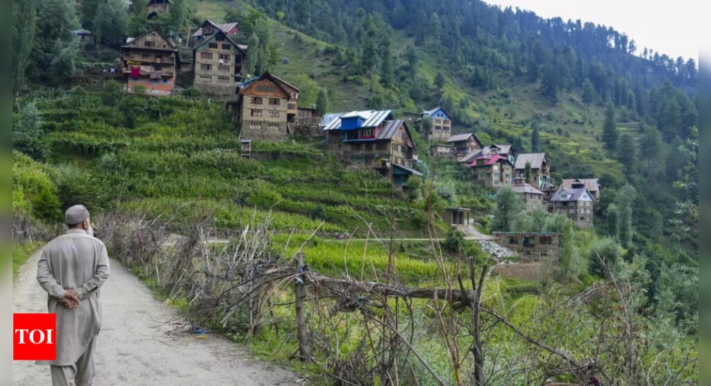 Band of 10 from Europe struck by J&K’s ‘peace and serenity’ | India News