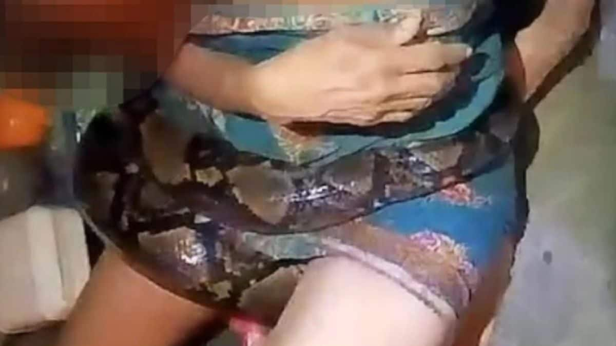 Huge Python Grabs Thai Woman In Her Kitchen, Squeezes Her Two Hours Before She Can Be Freed