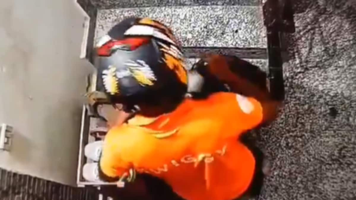 Video Of Swiggy Delivery Partner Stealing Sneakers From Outside Noida Flat Viral