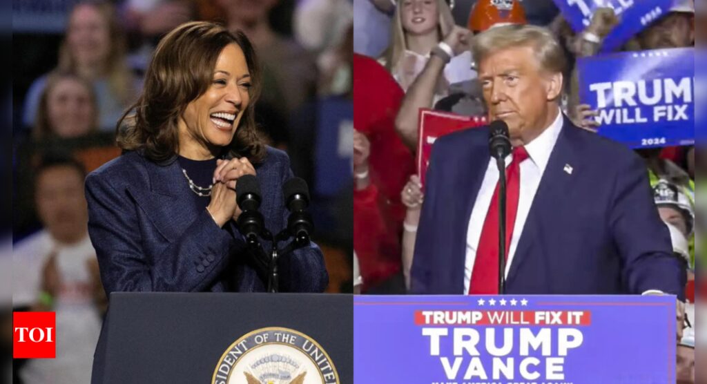 Early trends suggest Donald Trump win in US elections, but final results could still swing in Kamala Harris’ favour; here’s how