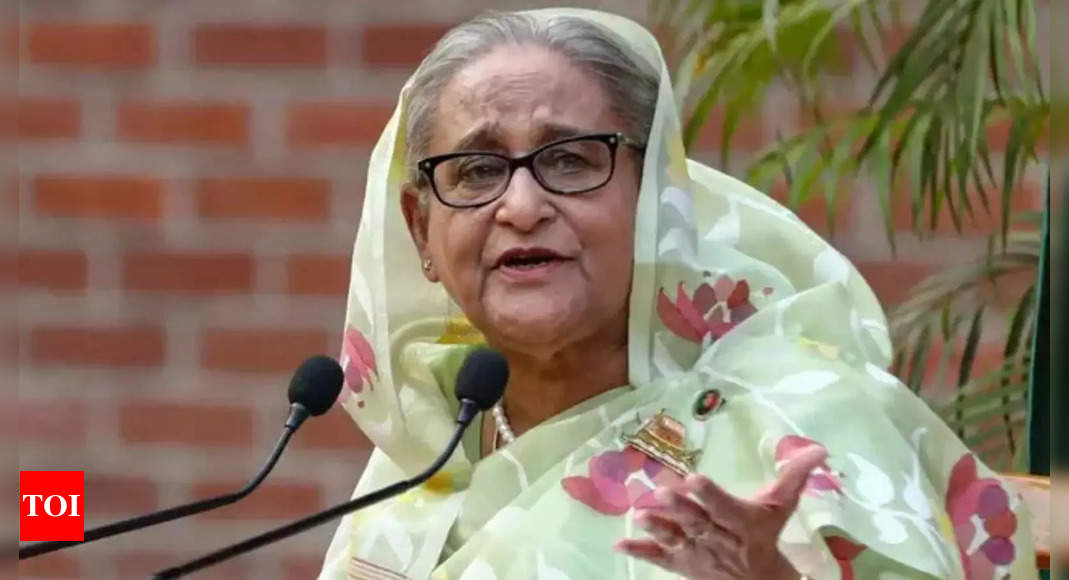 ‘Stop Sheikh Hasina from making speeches’: Bangladesh interim government requests India