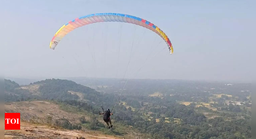 Paragliding activities across Goa suspended