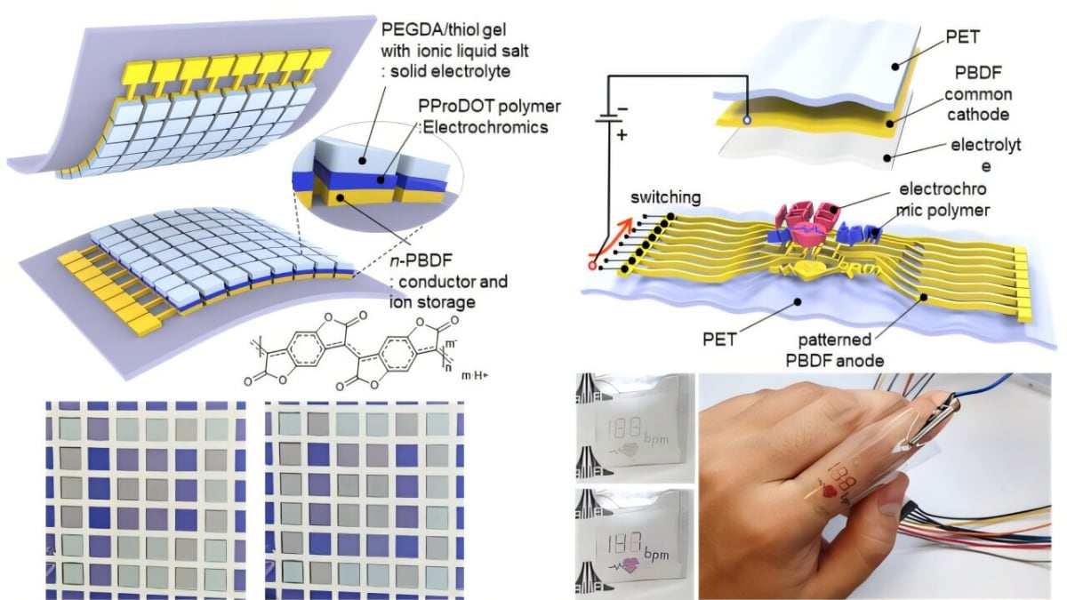 New Polymer Set to Revolutionize Flexible Displays with Low Energy Consumption