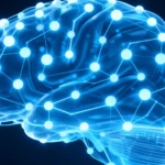 Latest Updates & Breakthroughs in LLM Research - Philip Metzger