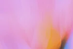 OpenAI News | OpenAI
