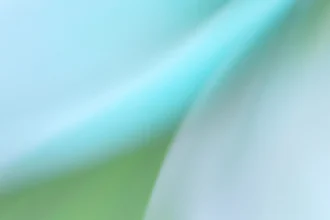 AI news