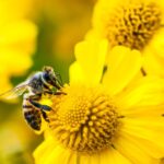 ai news