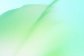 ai update