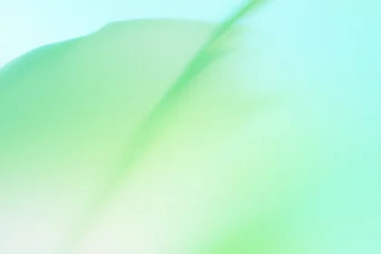 ai update